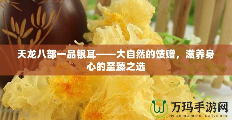 天龍八部一品銀耳——大自然的饋贈，滋養(yǎng)身心的至臻之選