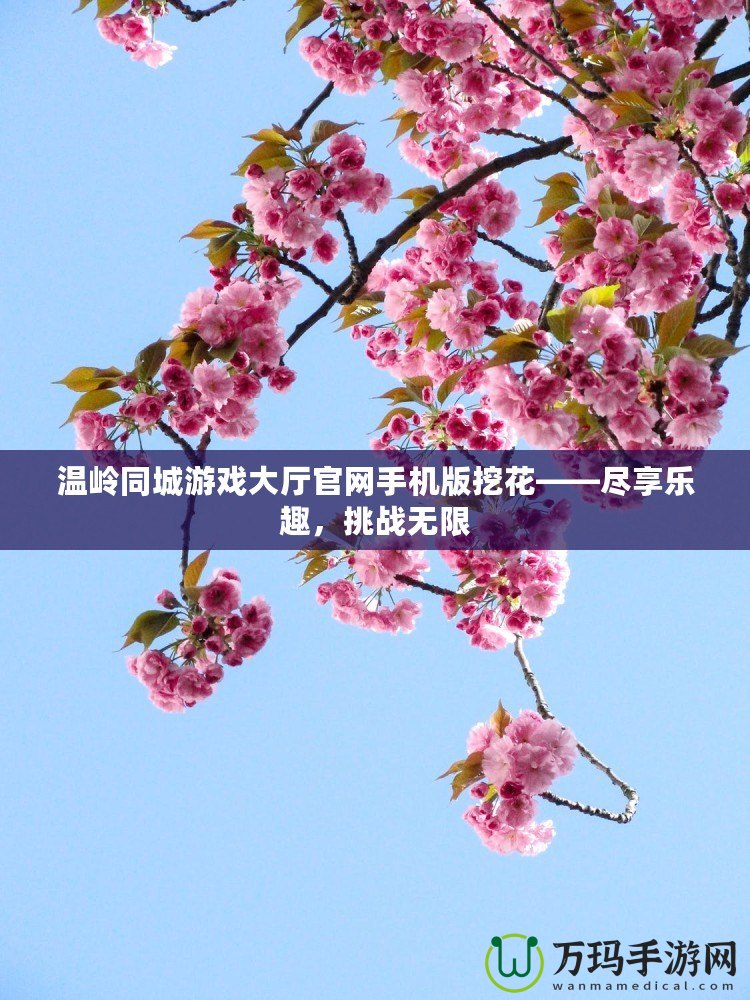 溫嶺同城游戲大廳官網(wǎng)手機(jī)版挖花——盡享樂趣，挑戰(zhàn)無限