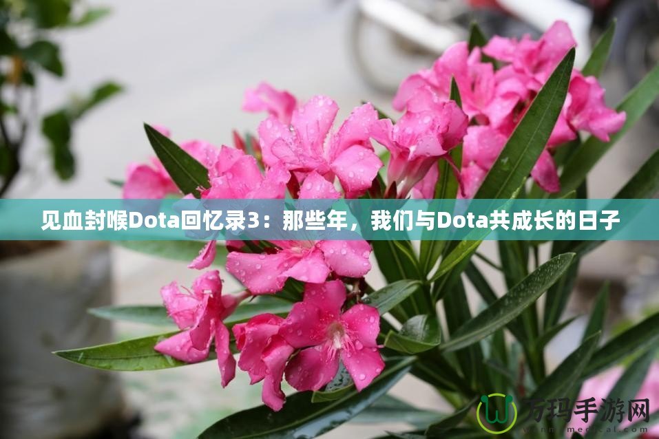 見血封喉Dota回憶錄3：那些年，我們與Dota共成長的日子