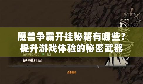 魔獸爭霸開掛秘籍有哪些？提升游戲體驗(yàn)的秘密武器