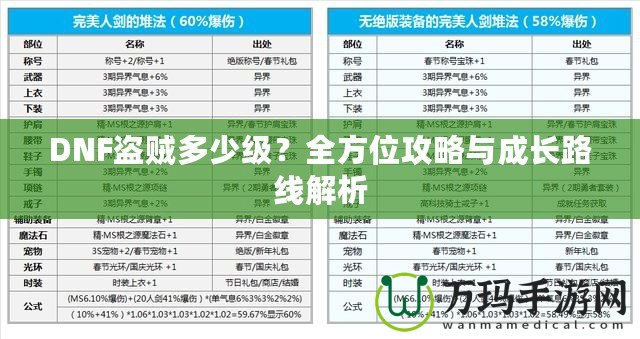 DNF盜賊多少級(jí)？全方位攻略與成長(zhǎng)路線解析